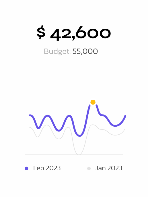 Digitalbii-Budget